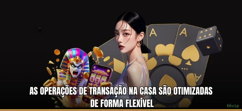 Privacidade 66vip